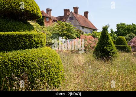 Großer Dixter-Topiarrasen, Northiam, Rye, East Sussex Stockfoto