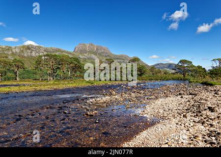 SLIOCH BERG WESTER ROSS SCHOTTLAND IM SOMMER SCHOTTEN PINIEN PINUS SYLVESTRIS UND BLICK AUF DEN FLUSS GRUDIE Stockfoto