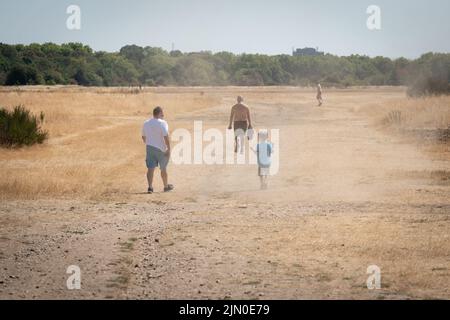 Besucher der Wanstead Flats im Nordosten Londons genießen das heutige heiße Wetter, da Großbritannien auf eine weitere Hitzewelle vorbereitet ist, die länger dauern wird als die rekordverdächtige Hitzewelle im Juli, mit Hochs von bis zu 35C, die nächste Woche erwartet werden. Bilddatum: Montag, 8. August 2022. Stockfoto