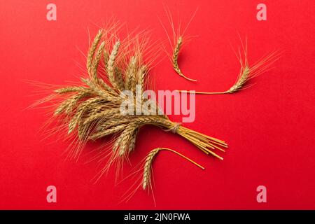 Garbe Weizenohren Nahaufnahme und Samen auf farbigem Hintergrund. Natürliche Getreidepflanze, Erntezeitkonzept. Draufsicht, flaches Lay. Weltweizenkrise. Stockfoto