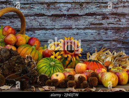 Korb voll von Kürbissen, Äpfeln und verschiedenen Herbstfrüchten und Blumen Stockfoto
