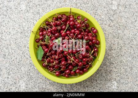Schüssel mit frischen Sauerkirschen Stockfoto