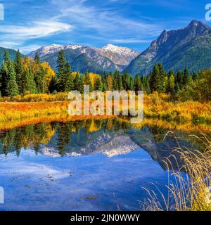 Herbstfarben und die Cabinet-Berge spiegeln sich in einem Bullental Feuchtgebiet in der Nähe von Troy, montana Stockfoto