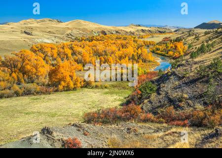 Farben des Herbstes entlang des Dearborn-Flusses in der Nähe von Augusta, montana Stockfoto