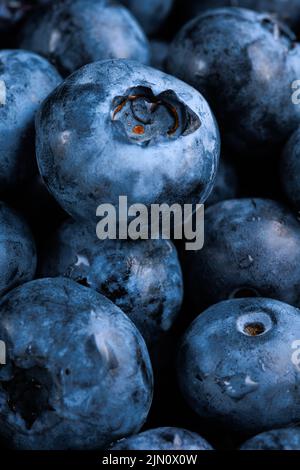 Frischer Heidelbeer Hintergrund. Wasser tropft auf reife Heidelbeeren. Hintergrund von frisch gepflückten Blaubeeren, Nahaufnahme. Blaue Heidelbeeren, Makro. Stockfoto