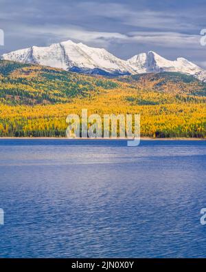 Großer nördlicher Berg und Mount Grant in der Flathead Range über Hungry Horse Reservoir und Herbst Lärche in der Nähe Hungry Horse, montana Stockfoto