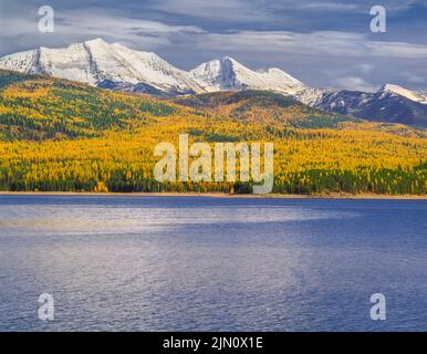 Großer nördlicher Berg und Mount Grant in der Flathead Range über Hungry Horse Reservoir und Herbst Lärche in der Nähe Hungry Horse, montana Stockfoto