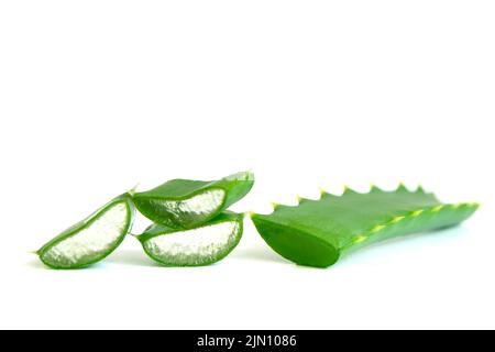 Nahaufnahme frische Aloe Vera isoliert auf weißem Hintergrund geschnitten. Stockfoto