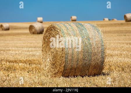 Nahaufnahme eines Heuballen in einem Feld in Sussex mit geringer Schärfentiefe Stockfoto