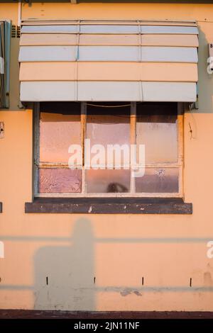 Eine vertikale Aufnahme eines Fensters mit schönen Vintage-Vorhängen Stockfoto