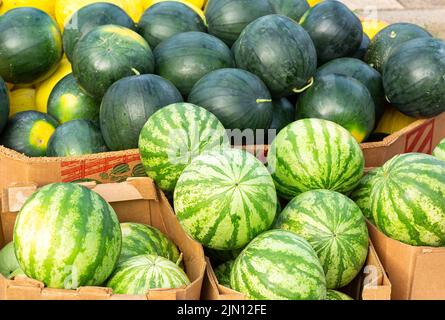 Grüne und gestreifte Wassermelonen in Kartons auf einem lokalen Markt Stockfoto