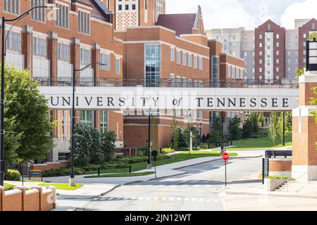 Der Campus der University of Tennessee befindet sich im Stadtzentrum von Knoxville, TN und wurde 1794 gegründet. Stockfoto