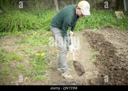 Guy gräbt Boden. Pflanzung von Kartoffeln in Russland. Russisch mit Schaufel. Der Mensch bereitet den Boden vor. Stockfoto