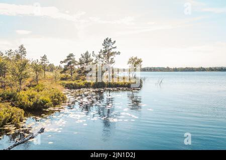 Szenischer Blick von einer Aussichtsplattform in Einem estnischen Moor namens Koigi Raba mit Einer kleinen Moorinsel Stockfoto