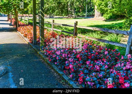 Center Garden Walkway am Point Defiance Park in Tacoma, Washington. Stockfoto