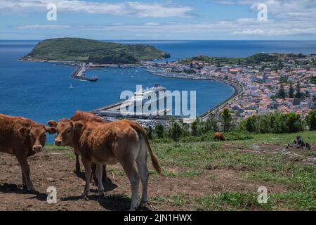 Blick über die Stadt Horta auf der Insel Faial befindet sich ein Kreuzschiff im Hafen, Azoren, Portugal. Stockfoto