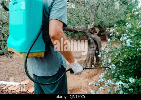 Ein kaukasischer Mann sprüht Insektizid auf einem Strauch mit einem Ranzen-Sprüher in einem Ackerland Stockfoto