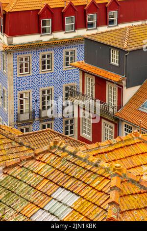 Blick über die Dächer auf Gebäude im Zentrum von Porto, einer bedeutenden Stadt im Norden Portugals. Stockfoto