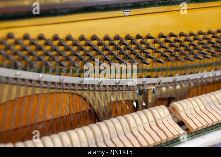 Das Innere des Klaviers ist ohne Deckel. Saiten, Hämmer und andere Teile eines Musikinstruments sind sichtbar. Tuning und Reparatur eines musikalischen Instrums Stockfoto