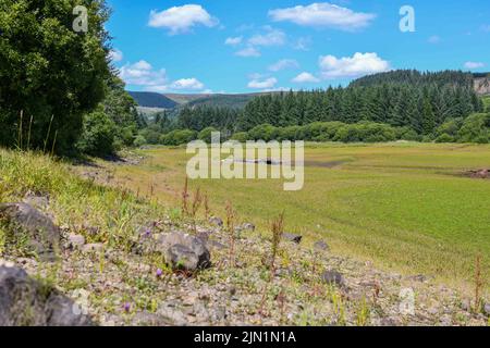 8.. August 2022, Brecon Beacons, Wales das Llwyn-onn Reservoir nördlich von Merthyr in den Brecon Beacons, wo große Teile des Ufers und des Stausees sich in Grasland verwandelt haben, da es im Juli und August so trocken war. Wales wird in dieser Woche das heißeste Gebiet Großbritanniens sein, und es werden weitere Rohrleitungsverbote prognostiziert. Stockfoto