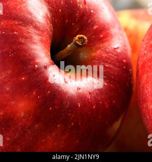 Großer reifer roter Apfel, Makroaufnahme. Eine schöne Frucht. Stockfoto