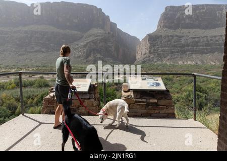 Junge Frau mit Hunden am Santa Elena Canyon Overlook in Texas Stockfoto