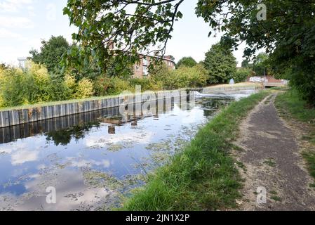 Haringey, London, Großbritannien. 8. August 2022. Wetter in Großbritannien: Dürrewarnungen in Großbritannien, Hitzewellen-Alarm für den Rest der Woche. Allgemeine Ansichten des New River, der etwa 8 % des Londoner Trinkwassers liefert. Kredit: Matthew Chattle/Alamy Live Nachrichten Stockfoto