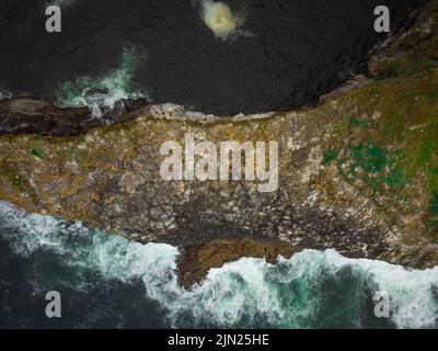 Luftaufnahme. Steininsel im Ozean mit grünem Moos bedeckt. Türkisfarbenes Meerwasser und weiße, schäumende Wellen waschen die Insel. Schönheit der Natur, Ökologie Stockfoto