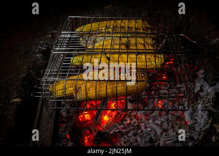 Köstliche gegrillte mexikanische Maiskolben Gemüse auf Grill Sweetcorn Picknick Glut Kohle hausgemachte vegane BBQ Familienurlaub. Heiße Kohlen Labyrinth Stockfoto