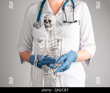 Arzt mit Skelettarm. Frau im Labormantel mit Stethoskop, die der Patientin die medizinische Diagnose erklärt oder der Kursteilnehmerin die Anatomie des Skelettsystems beibringt Stockfoto