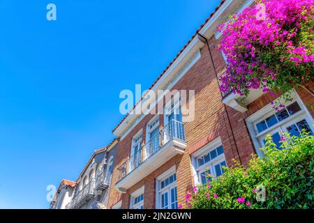 Haus mit roten Ziegeln und Fensterscheiben in San Francisco, CA. Außenansicht eines Hauses mit Fenstergeländern und Bougainvillea-Pflanzen, die vorne kriechen. Stockfoto