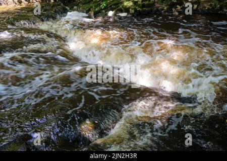 Stromschnellen auf dem Vizla-Fluss, Vireshi, Vidzeme, Lettland Stockfoto