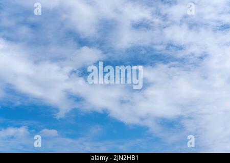 Blauer Himmel Hintergrund mit weißen flauschigen Cumulus Wolken. Panorama von weißen, flauschigen Wolken am blauen Himmel. Wunderschöner, riesiger blauer Himmel mit erstaunlichen verstreuten Stockfoto