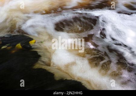 Stromschnellen auf dem Vizla-Fluss, Vireshi, Vidzeme, Lettland Stockfoto