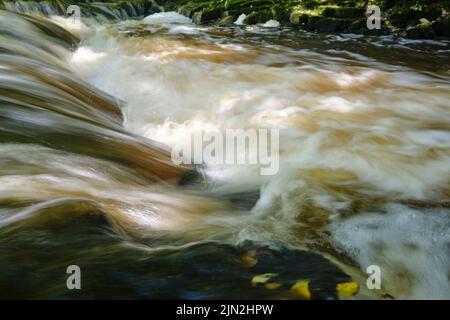 Stromschnellen auf dem Vizla-Fluss, Vireshi, Vidzeme, Lettland Stockfoto