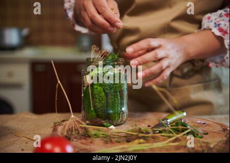 Nahaufnahme des Hinzufügens duftender kulinarischer Kräuter in ein Glasglas, während die hausgemachten eingelegten Gurken für den Winter zubereitet werden Stockfoto