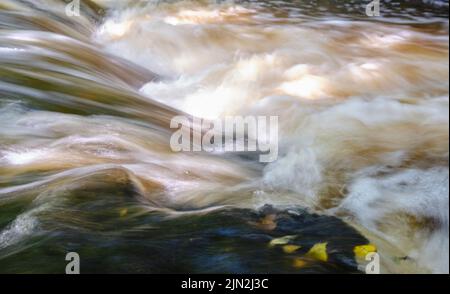 Stromschnellen auf dem Vizla-Fluss, Vireshi, Vidzeme, Lettland Stockfoto