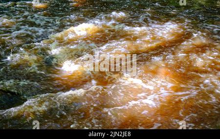 Stromschnellen auf dem Vizla-Fluss, Vireshi, Vidzeme, Lettland Stockfoto