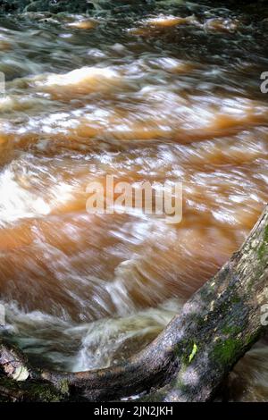 Stromschnellen auf dem Vizla-Fluss, Vireshi, Vidzeme, Lettland Stockfoto