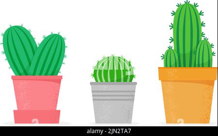 Kaktus in einem flachen Stil gesetzt. Verschiedene Kakteen in Blumentöpfen. Haus Sukkulenten Sammlung. Vektorgrafik Stock Vektor