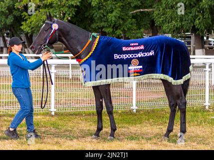 Schwarzer akhal-teke-Hengst Mugam - Gewinner des Großen Allrussischen Derby-Preises auf dem Hippodrom Pyatigorsk, 2022 Stockfoto