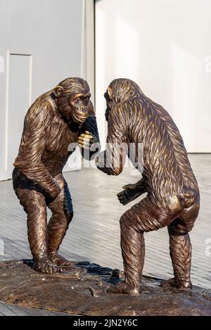 Schimpansen-Skulptur am Südufer in der Nähe des Rathauses, Teil des Schimpansen sind Familienkunstpfades. Konflikt mit dem Namen des Stücks Stockfoto