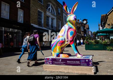 Winchester, Großbritannien. 15.. Juli 2022. Mitglieder der Öffentlichkeit passieren eine Hasen der Hampshire Skulptur. Die öffentliche Kunstausstellung zugunsten des Murray Parish Trust umfasst 31 sechs Meter lange gemalte Hasen-Skulpturen, die rund um die Stadtzentren von Winchester und Southampton aufgestellt wurden. In vielen Teilen Großbritanniens herrschen derzeit sehr hohe Temperaturen. Kredit: Mark Kerrison/Alamy Live Nachrichten Stockfoto