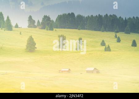 Ätherisch grüne Landschaft mit Blick auf Hütten und Bäume auf sanften Hügeln und Bergen versteckt im Nebel bei Sonnenaufgang der Alp De Suisi, Dolomiten, Italien Stockfoto