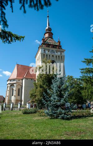 Saschiz befestigte Kirche in Saschiz Dorf, Sibiu, Siebenbürgen, Rumänien Stockfoto