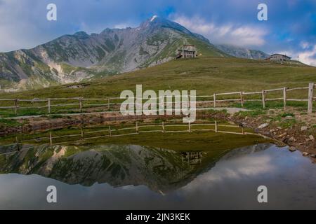 Teich zur Bewässerung der Rinder auf den Almen Stockfoto