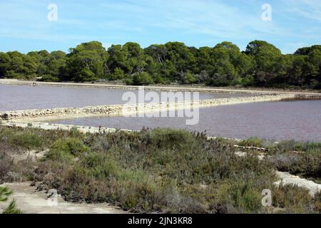 Das Naturschutzgebiet der salinas von ibiza und formentera ein Spektakel der balearen in spanien Stockfoto