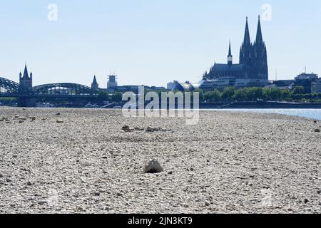 Niedrigwasser durch Dürre im Sommer 2022 am rhein in köln Stockfoto