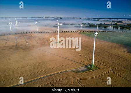 Onshore-Windturbine, die in der Morgensonne im Nebel steht Stockfoto