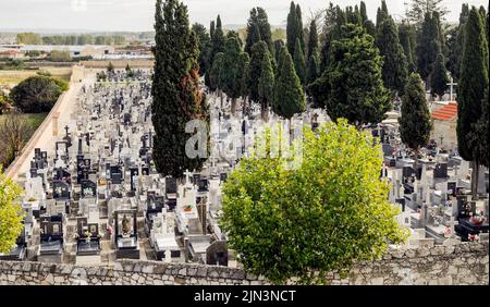 Städtischer Friedhof von San Atilano in Zamora, Spanien mit Blick von oben auf Gräber, Grabsteine und Zypressen. Stockfoto